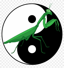 A praying mantis occupies a significant position in the. Ting Shen Kung Fu Seven Star Praying Mantis Kung Fu Free Transparent Png Clipart Images Download