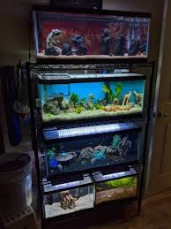 Setup ideas, equipment, best fish and more. Aquarium Racks General Discussion C A R E