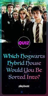 Which Hogwarts Hybrid House Would You Be Sorted Into Harry Potter House Quiz Harry Potter Personality Quizzes Harry Potter Quiz