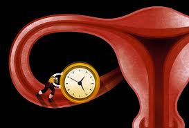 Image result for Menopause