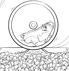More 100 coloring pages from animal coloring pages category. Hamster Coloring Pages Best Coloring Pages For Kids Animal Coloring Pages Snake Coloring Pages Birthday Coloring Pages
