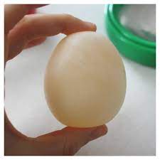 Egg In Vinegar Experiment For Kids Little Bins For Little Hands