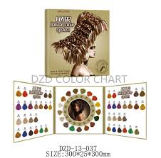 China Foldable Hair Colour Chart Book For Hair Dye China