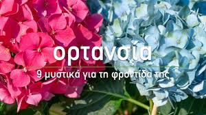 Μάθετε στα αγόρια σας να φέρονται με ανδρισμό. Ortansia 9 Mystika Gia Th Frontida Ths Ta Mystika Toy Khpoy Youtube