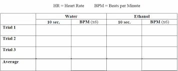 Investigation Daphnia Heart Rate