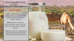 That's why we're doing our best to make camel milk available for all those who want to lead a healthier life. Camel Milk Market Size Share Value Report 2021 North America Europe