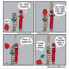 Trachea Falls Victim To Dry Biscuits Awkward Yeti Nerd Humor Geek Humor