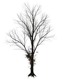 Dark Trees Png Stock 08 By Https Www Deviantart Com Roy3d On Deviantart Dark Tree Tree Silhouette Tattoo Tree Silhouette