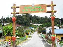 Maybe you would like to learn more about one of these? White Rose Cameron Highlands Cameron Highlands Updated 2021 Prices