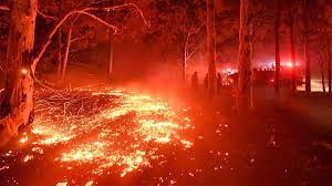 Donations for australian bushfire recovery went towards the following Australian Bushfires Likely To Happen Again And They Could Be Even Worse Cnn