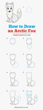 Learn how to draw snowflake arctic wolf from animal jam. How To Draw Arctic Fox Step By Step How To Draw An Arctic Fox Hd Png Download Transparent Png Image Pngitem