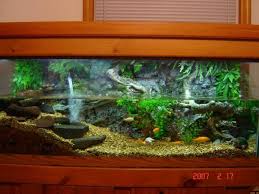 75 Gallon Turtle Tank Note The Turtle At Thebottom Right Turtle Tank Setup Turtle Pond Turtle Tank