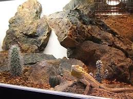 A perfect bearded dragon habitat should have: Pin Van Paddie Stenzel Op Terrarium Backgrounds Diy