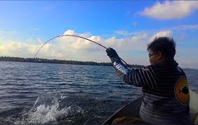 Senar pancing terbaik berikutnya adalah ogawa qianliu. Tips Panduan Lengkap Memilih Joran Casting Inche Naim