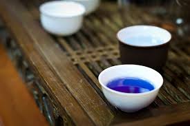 Image result for Clitoria kaessneri