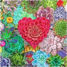 The latest tweets from liberty puzzles (@libertypuzzles). Amazon Com Nautilus Puzzles Puzzle De Madera Para Adultos 201 Piezas Juguetes Y Juegos