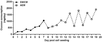 Promotion to professor with tenure. High Density Huh7 5 Cell Hollow Fiber Bioreactor Culture For High Yield Production Of Hepatitis C Virus And Studies Of Antivirals Scientific Reports