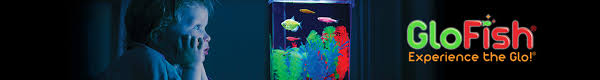 «female bettas can also live among other fish, unlike male bettas who need to be kept alone.…» Glofish Fish Tanks Lights Food Gravel More Petco