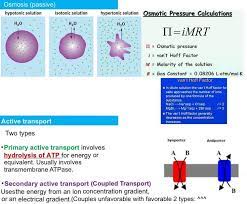 Imp Osmosis Passive And Active Transport Types Osmotic Pressure Gas Constant Osmosis