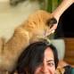 4th November 9:30 AM Puppy Yoga Canggu event image