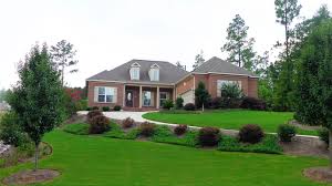 Check spelling or type a new query. Turftec Landscape And Design Knockout Roses Prune Without Fears And Tears