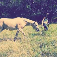 We did not find results for: Robert Habeck Fan Seite Austria Home Facebook