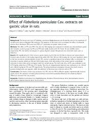 Image result for Flabellaria paniculata