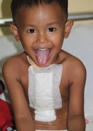 Annual Report 2012/2013