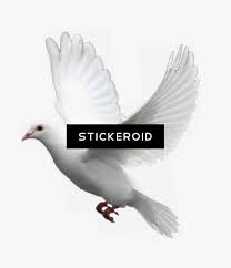 Pigeon Animals Flying Birds Gif Png Png Image Transparent Png Free Download On Seekpng An alternative would be to animate and export a gif video using transparent hide the background layer in photoshop (highlighted in yellow) by clicking on the 'eye' on the left of the layer. pigeon animals flying birds gif png