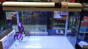 Aquariums Heboh Aquarium Diskon Aquarium Boyu Aquarium Ace Hardware