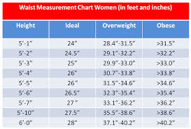 58 Interpretive What Is Road To Health Chart