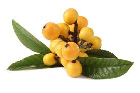 Loquat Fruit Fresh Loquat Fruit And Leaf With White Background Sponsored Affiliate Sponsored Fruit White Background Fresh In 2020 Fruit Food Apricot