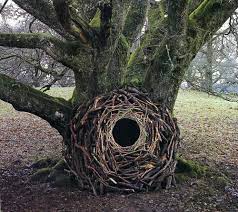 Environmental art has evolved away from formal concerns, worked out with earth as a sculptural material, towards a deeper relationship to systems, processes and phenomena in relationship to social concerns. Andy Goldsworthy S Land Art Photography Ignant