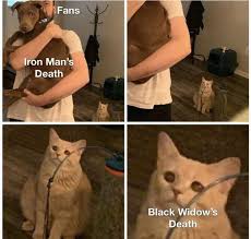Cat Looking At Man Holding Dog Memes Are The Perfect Embodiment Of Jealousy Memebase Funny Memes