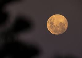 Luna llena en escorpio de abril 2021. Jlgqjivdcr3vsm