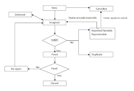 bug life cycle its all about manual testing