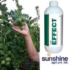 Home » sunshine agro products » list. Sunshine Agri Pvt Ltd Jalgaon Agricultural Product Dealers In Jalgaon Justdial