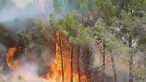 Lo que aduanas retiene en operativos. Incendio Cuenca Medios Terrestres Y Aereos Luchan Contra El Fuego En El Picazo