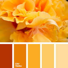 These are the colors which appears on opposite side of color wheel. Light Yellow Page 6 Of 7 Color Palette Ideas