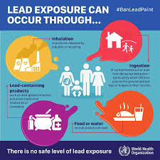 Image result for Lead Poisoning