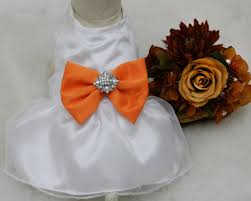 Check spelling or type a new query. Pale Orange Dog Dress Dog Birthday Gift Orange Pet Wedding Accessory Rhinestone Fall Wedding Orange Wedding Flower Girl Dress La Dog Store