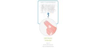 Discharge after ovulation if pregnant forum. Cervical Mucus A Sign Of Fertility