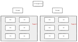 Team Based Organizations Vs Role Based Organizations Jon