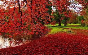 Autumn Hd Wallpapers Wallpaper Cave Autumn Wallpaper Hd Fall Wallpaper Scenery Wallpaper