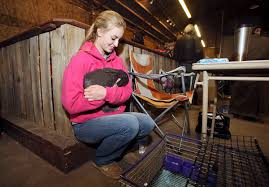 Best of the best: Local students show off their prized animals at show