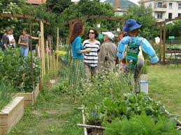 Agenda Evenements Jardin Nature Met Afbeeldingen