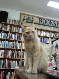 Bartleby Bookstore Cat At Adams Avenue Books Bookstore Cats Cats Cat Books