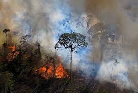 In a recently published book, gavin schmidt, founder of realclimate.org, attempts to tell the story of climate change in pictures. Climate Change Amazon May Be Turning From Friend To Foe