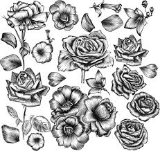 We did not find results for: Hand Drawn Flower Vector Material Free Download