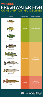 Mercury And Fish In Wisconsin